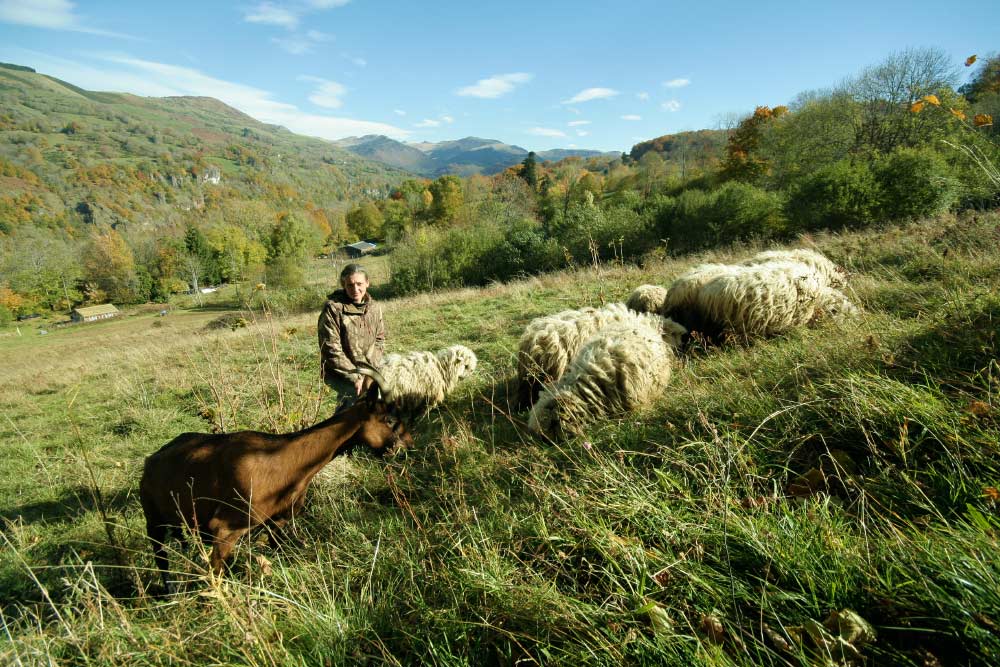 Hortense et les animaux